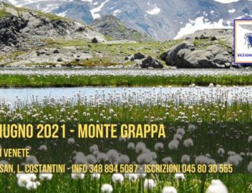 DOMENICA 27 GIUGNO 2021 – CIMA MEATTE, MONTE GRAPPA