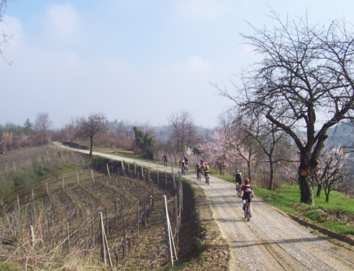 Escursione 07 – domenica 14 maggio | Cicloescursionistica: Dalle Colline Moreniche Ai Laghi Di Mantova