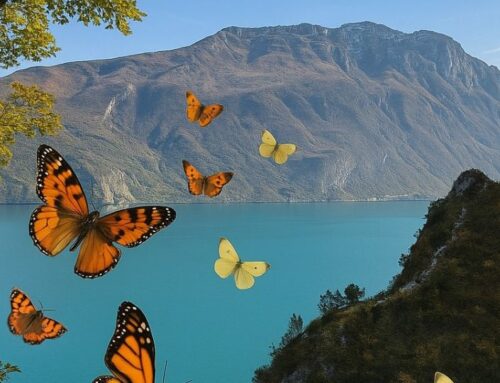 Giovani 7/25 | domenica 11 maggio ’25 | Sentiero Delle Farfalle al Monte Bestone e Lago di Garda – Prealpi Gardesane