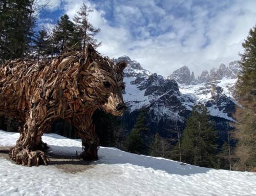 domenica 27 aprile | “Orso del Pradel” – Traversata dalla Val Biole (Andalo) al lago di Molveno
