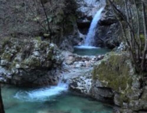martedì 20 maggio | LA FORESTA DI GIAZZA ED IL SUO TERRITORIO