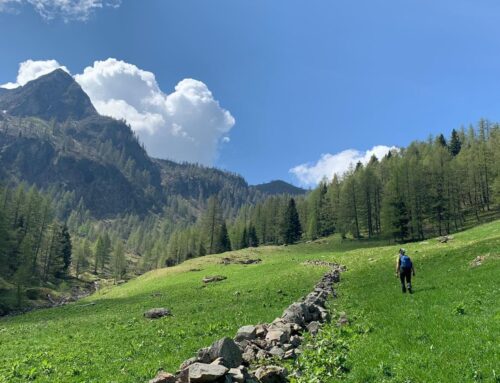 domenica 15 giugno | Lago Erdemolo e Rifugio 7 Selle
