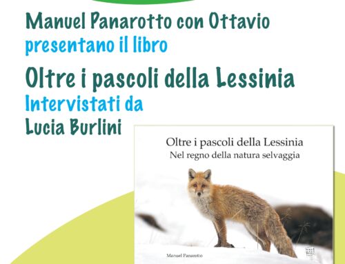 martedì 17 giugno | Manuel Panarotto con Ottavio presentano il libro Oltre i pascoli della Lessinia