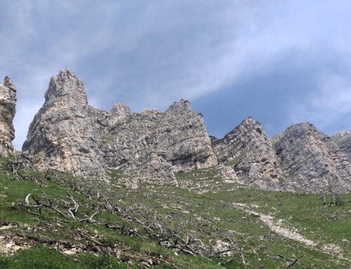 domenica 6 luglio | Monte Cornetto di Folgaria e Becco di Filadonna
